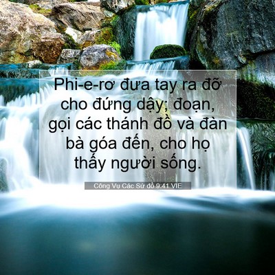 Picture 07 - Công Vụ Các Sứ đồ 9:41 VIE - Phi-e-rơ đưa tay ra đỡ cho đứng dậy; - Bible Verse Picture