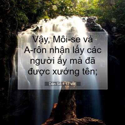 Picture 07 - Dân Số 1:17 VIE - Vậy, Môi-se và A-rôn nhận lấy các - Bible Verse Picture