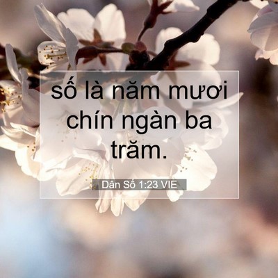 Picture 07 - Dân Số 1:23 VIE - số là năm mươi chín ngàn ba - Bible Verse Picture