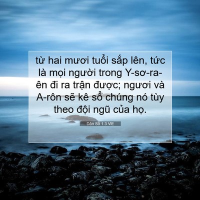 Picture 07 - Dân Số 1:3 VIE - từ hai mươi tuổi sắp lên, tức là - Bible Verse Picture