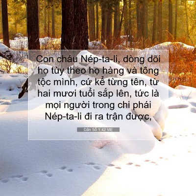 Picture 07 - Dân Số 1:42 VIE - Con cháu Nép-ta-li, dòng dõi họ tùy theo - Bible Verse Picture