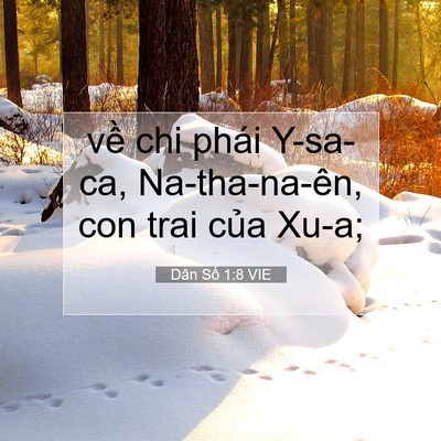 Picture 07 - Dân Số 1:8 VIE - về chi phái Y-sa-ca, Na-tha-na-ên, con trai - Bible Verse Picture