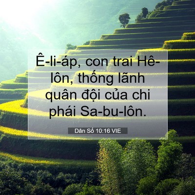 Picture 07 - Dân Số 10:16 VIE - Ê-li-áp, con trai Hê-lôn, thống lãnh quân - Bible Verse Picture