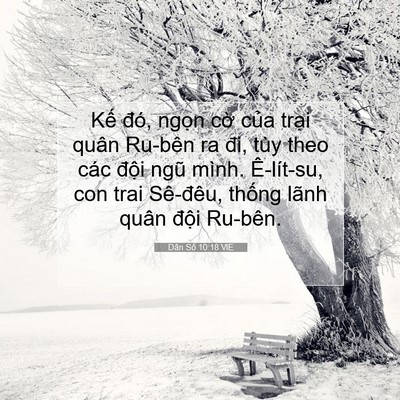 Picture 07 - Dân Số 10:18 VIE - Kế đó, ngọn cờ của trại quân Ru-bên - Bible Verse Picture