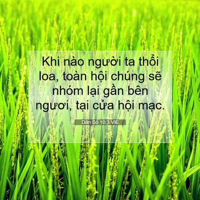 Picture 07 - Dân Số 10:3 VIE - Khi nào người ta thổi loa, toàn hội - Bible Verse Picture