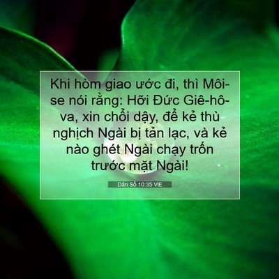 Picture 07 - Dân Số 10:35 VIE - Khi hòm giao ước đi, thì Môi-se nói - Bible Verse Picture