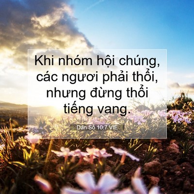 Picture 07 - Dân Số 10:7 VIE - Khi nhóm hội chúng, các ngươi phải - Bible Verse Picture