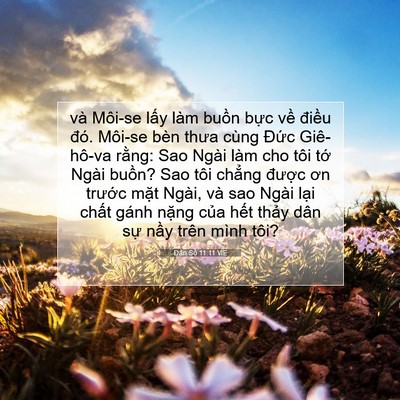 Picture 07 - Dân Số 11:11 VIE - và Môi-se lấy làm buồn bực về điều - Bible Verse Picture