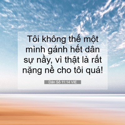 Picture 07 - Dân Số 11:14 VIE - Tôi không thế một mình gánh hết dân - Bible Verse Picture