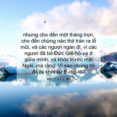 Picture 07 - Dân Số 11:20 VIE - nhưng cho đến một tháng trọn, cho đến - Bible Verse Picture
