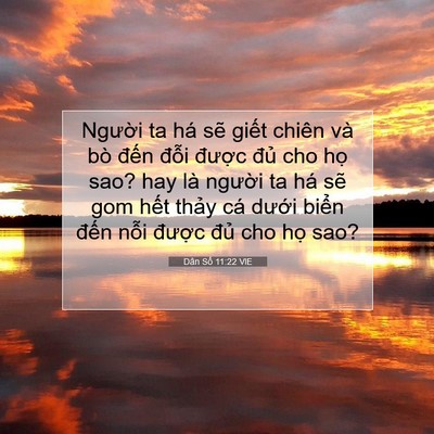 Picture 07 - Dân Số 11:22 VIE - Người ta há sẽ giết chiên và bò đến - Bible Verse Picture