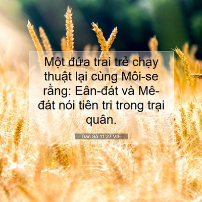 Picture 07 - Dân Số 11:27 VIE - Một đứa trai trẻ chạy thuật lại - Bible Verse Picture