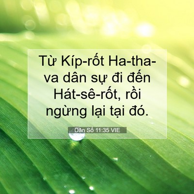 Picture 07 - Dân Số 11:35 VIE - Từ Kíp-rốt Ha-tha-va dân sự đi đến - Bible Verse Picture