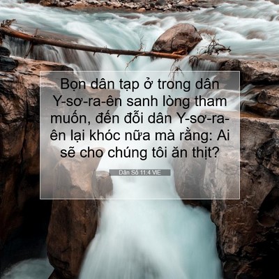 Picture 07 - Dân Số 11:4 VIE - Bọn dân tạp ở trong dân Y-sơ-ra-ên sanh - Bible Verse Picture