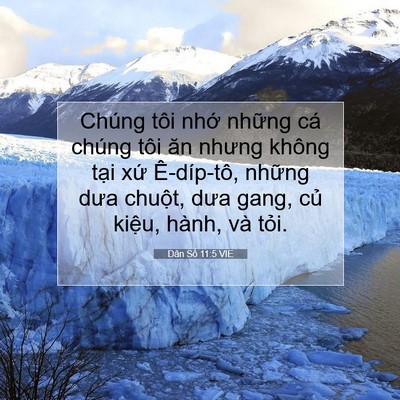 Picture 07 - Dân Số 11:5 VIE - Chúng tôi nhớ những cá chúng tôi ăn - Bible Verse Picture