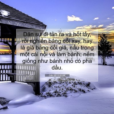 Picture 07 - Dân Số 11:8 VIE - Dân sự đi tản ra và hốt lấy, rồi - Bible Verse Picture