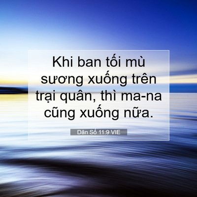 Picture 07 - Dân Số 11:9 VIE - Khi ban tối mù sương xuống trên trại - Bible Verse Picture
