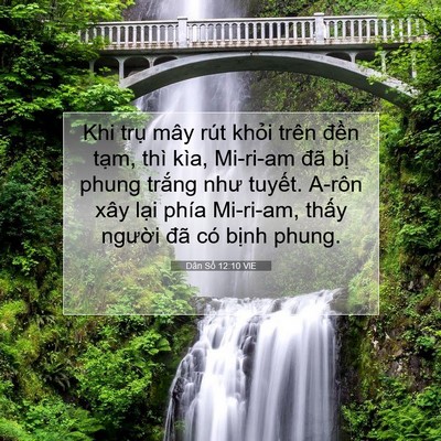 Picture 07 - Dân Số 12:10 VIE - Khi trụ mây rút khỏi trên đền tạm, - Bible Verse Picture