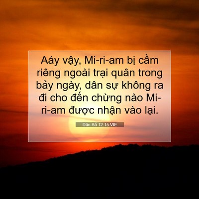 Picture 07 - Dân Số 12:15 VIE - Aáy vậy, Mi-ri-am bị cầm riêng ngoài - Bible Verse Picture