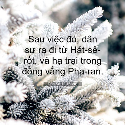 Picture 07 - Dân Số 12:16 VIE - Sau việc đó, dân sự ra đi từ - Bible Verse Picture
