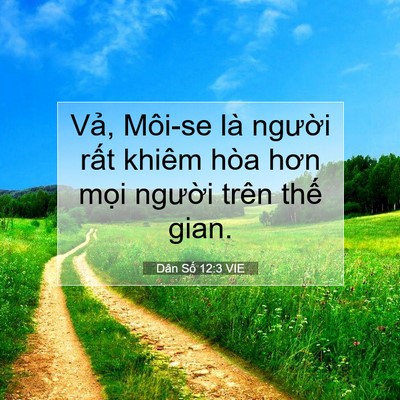 Picture 07 - Dân Số 12:3 VIE - Vả, Môi-se là người rất khiêm hòa hơn - Bible Verse Picture