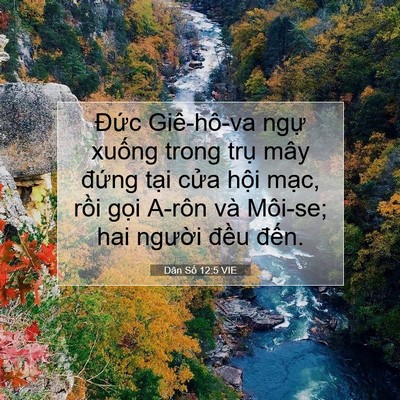 Picture 07 - Dân Số 12:5 VIE - Đức Giê-hô-va ngự xuống trong trụ mây - Bible Verse Picture