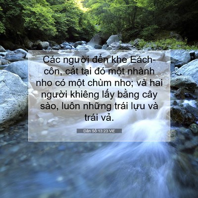 Picture 07 - Dân Số 13:23 VIE - Các người đến khe Eách-côn, cắt tại - Bible Verse Picture