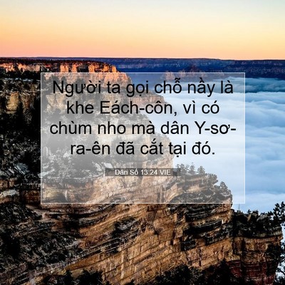 Picture 07 - Dân Số 13:24 VIE - Người ta gọi chỗ nầy là khe Eách-côn, - Bible Verse Picture