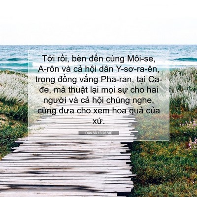 Picture 07 - Dân Số 13:26 VIE - Tới rồi, bèn đến cùng Môi-se, A-rôn - Bible Verse Picture