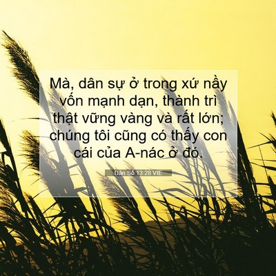 Picture 07 - Dân Số 13:28 VIE - Mà, dân sự ở trong xứ nầy vốn mạnh - Bible Verse Picture