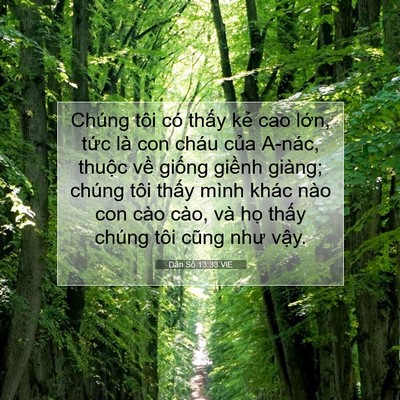 Picture 07 - Dân Số 13:33 VIE - Chúng tôi có thấy kẻ cao lớn, tức là - Bible Verse Picture
