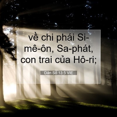 Picture 07 - Dân Số 13:5 VIE - về chi phái Si-mê-ôn, Sa-phát, con trai - Bible Verse Picture