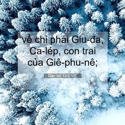 Picture 07 - Dân Số 13:6 VIE - về chi phái Giu-đa, Ca-lép, con trai của - Bible Verse Picture
