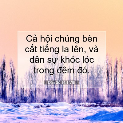Picture 07 - Dân Số 14:1 VIE - Cả hội chúng bèn cất tiếng la lên, và - Bible Verse Picture