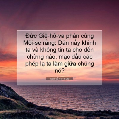 Picture 07 - Dân Số 14:11 VIE - Đức Giê-hô-va phán cùng Môi-se rằng: - Bible Verse Picture