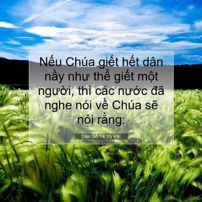 Picture 07 - Dân Số 14:15 VIE - Nếu Chúa giết hết dân nầy như thể - Bible Verse Picture