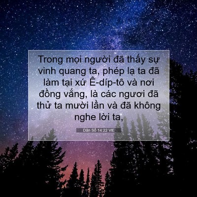 Picture 07 - Dân Số 14:22 VIE - Trong mọi người đã thấy sự vinh quang - Bible Verse Picture
