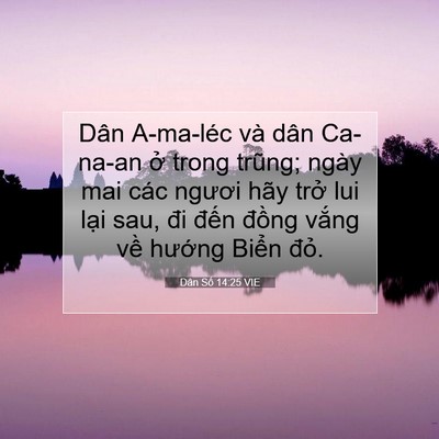 Picture 07 - Dân Số 14:25 VIE - Dân A-ma-léc và dân Ca-na-an ở trong - Bible Verse Picture