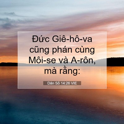 Picture 07 - Dân Số 14:26 VIE - Đức Giê-hô-va cũng phán cùng Môi-se và - Bible Verse Picture
