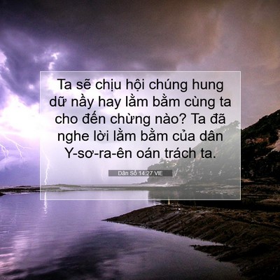 Picture 07 - Dân Số 14:27 VIE - Ta sẽ chịu hội chúng hung dữ nầy hay - Bible Verse Picture