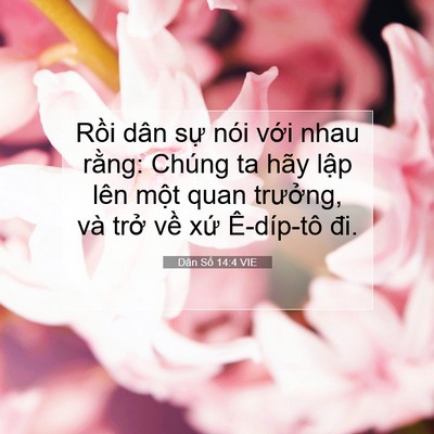 Picture 07 - Dân Số 14:4 VIE - Rồi dân sự nói với nhau rằng: Chúng ta - Bible Verse Picture