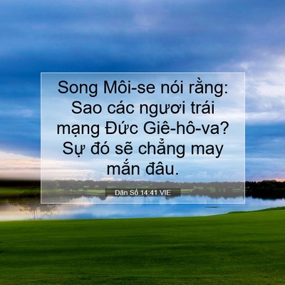 Picture 07 - Dân Số 14:41 VIE - Song Môi-se nói rằng: Sao các ngươi trái - Bible Verse Picture