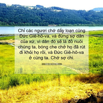 Picture 07 - Dân Số 14:9 VIE - Chỉ các ngươi chớ dấy loạn cùng - Bible Verse Picture
