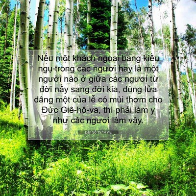 Picture 07 - Dân Số 15:14 VIE - Nếu một khách ngoại bang kiều ngụ - Bible Verse Picture
