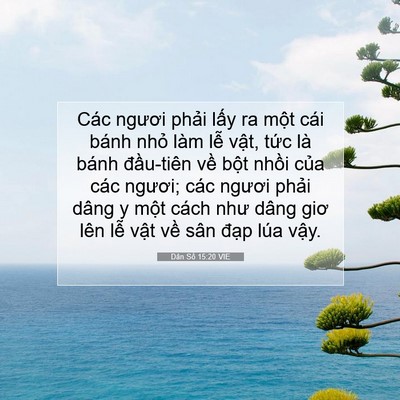 Picture 07 - Dân Số 15:20 VIE - Các ngươi phải lấy ra một cái bánh - Bible Verse Picture