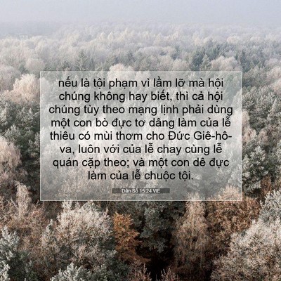 Picture 07 - Dân Số 15:24 VIE - nếu là tội phạm vì lầm lỡ mà hội - Bible Verse Picture