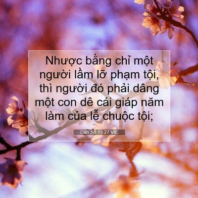 Picture 07 - Dân Số 15:27 VIE - Nhược bằng chỉ một người lầm lỡ - Bible Verse Picture