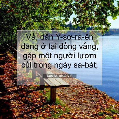 Picture 07 - Dân Số 15:32 VIE - Vả, dân Y-sơ-ra-ên đang ở tại đồng - Bible Verse Picture