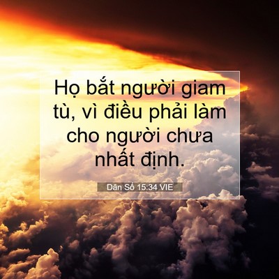 Picture 07 - Dân Số 15:34 VIE - Họ bắt người giam tù, vì điều phải - Bible Verse Picture