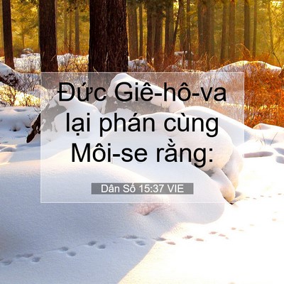 Picture 07 - Dân Số 15:37 VIE - Đức Giê-hô-va lại phán cùng Môi-se - Bible Verse Picture